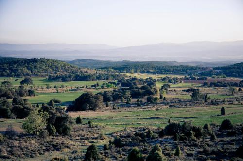 a view of a field with trees and hills at Hotel Restaurante Masía la Torre in Mora de Rubielos
