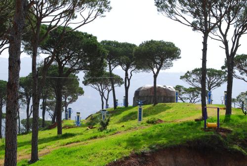 a field with trees and a dome on a hill at Pineland Hotel and Health Resort in Ḩammānā