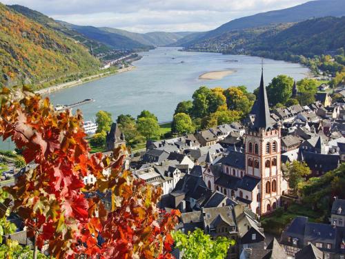a view of a town with a river and a church at Ferienwohnung "Gecko" in Andernach
