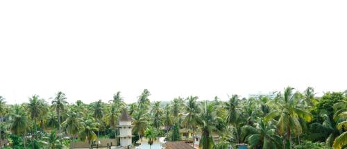 a plantation of palm trees with a building in the foreground at Orionis Kannur in Kannur