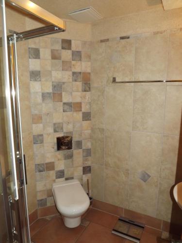 a bathroom with a toilet and a shower at Hotel Piccolo in Schleiz