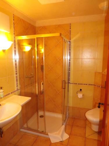 a bathroom with a shower and a sink at Hotel Piccolo in Schleiz