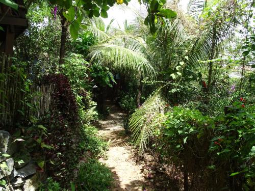 Κήπος έξω από το Hostel Terra Viva