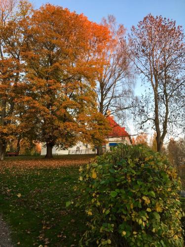 Taman di luar Wij Trädgårdskök på Wij Trädgårdar