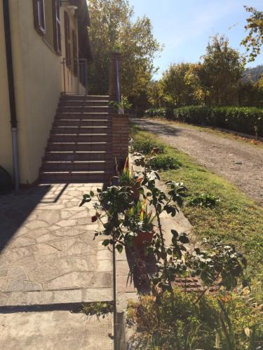 Zahrada ubytování Agriturismo 7 Colonne