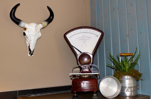 a cow skull on the wall next to a trophy at B&B "de Wingerd" in Bruchterveld
