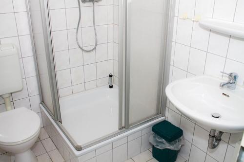 a bathroom with a shower and a toilet and a sink at Erzgebirgsidyll Breitenbrunn Ferienwohnung in Breitenbrunn