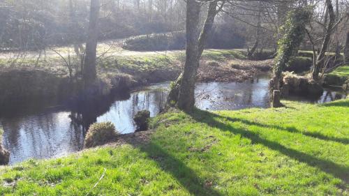 a stream of water with trees in a field at Albergue Camiño Real in Sigüeiro