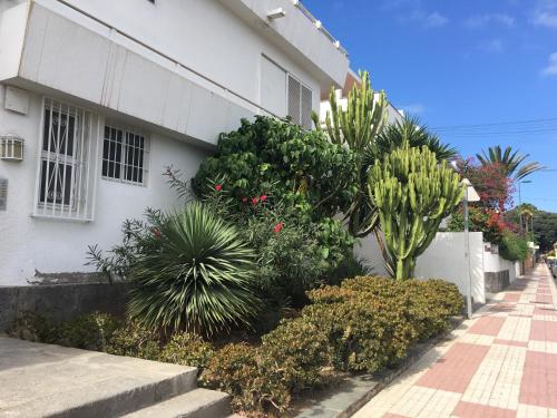 Estudios Ciudad Jardín