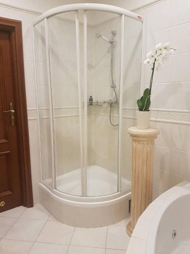 a shower with a glass enclosure in a bathroom at GoldStar Luxury Old Town Krakow Apartment in Krakow