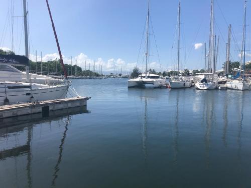 a group of boats docked in a harbor at EBT House, appartement, jacuzzi vue mer, 10 min aéroport et port in Baimbridge