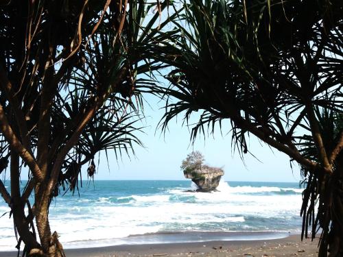 a view of the ocean from a beach with palm trees at Susan Homestay in Batukaras