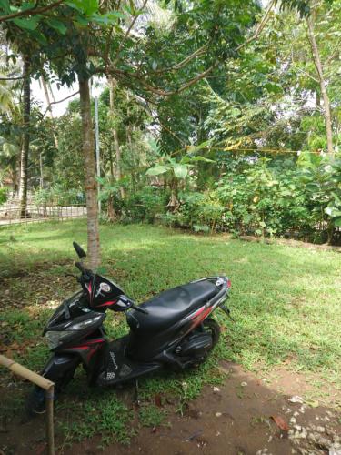 a motorcycle parked in the grass next to a tree at Susan Homestay in Batukaras