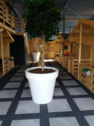 Gallery image of Lodgehotel de Lelie in Makkum