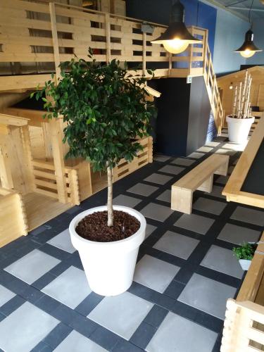 Gallery image of Lodgehotel de Lelie in Makkum