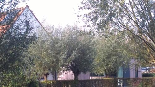Un paisaje natural cerca of the bed and breakfast