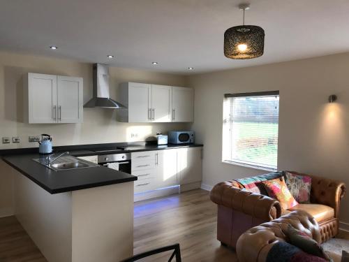 a kitchen with a sink and a counter top at The Cothi Bridge Apartments in Carmarthen