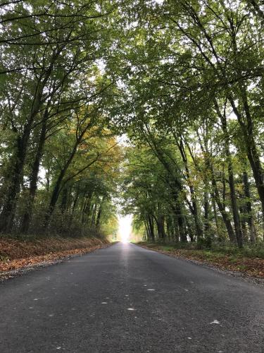an empty road with trees on either side at La Maison du Haut Plessix in Clayes