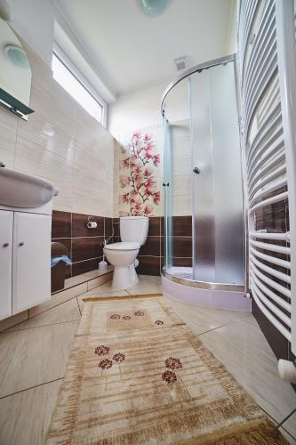 a bathroom with a shower and a toilet and a sink at Penzión Music in Nižný Slavkov