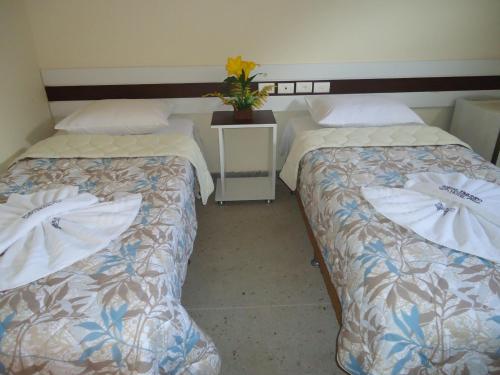 a room with two beds and a vase with a plant at Hotel Portal Triunfo in Triunfo