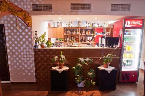 a restaurant with a bar with potted plants and a refrigerator at Family hotel Iskar in Govedartsi