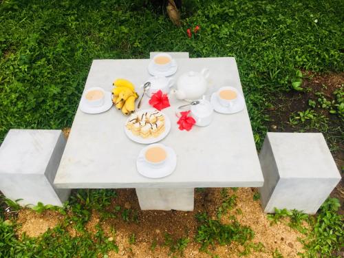 a picnic table with a teddy bear and a tea set at Raj Villa Kumarakanda Hikkaduwa in Hikkaduwa