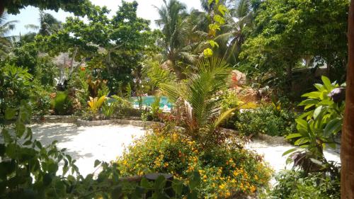 a tropical garden with a pool in the middle at Mustapha' s Place in Bwejuu