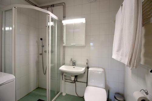 a bathroom with a toilet and a sink and a shower at Kajo Lomahuoneisto in Rovaniemi