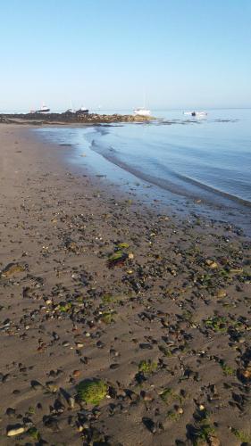 a beach with a lot of shells on the sand at Greencastle B&B in Kilkeel