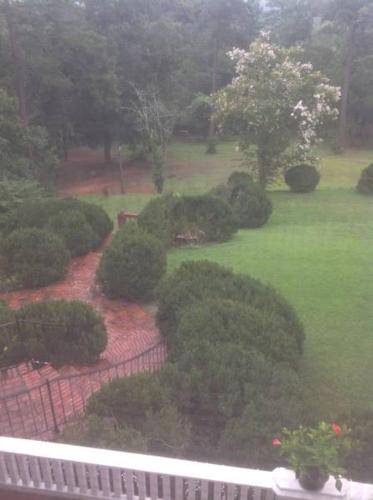 an aerial view of a garden with trees and bushes at Springwood Inn in Anniston