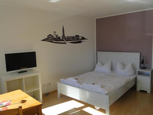 佛萊堡的住宿－Business Apartment am Hauptbahnhof，一间带床和电视的小卧室