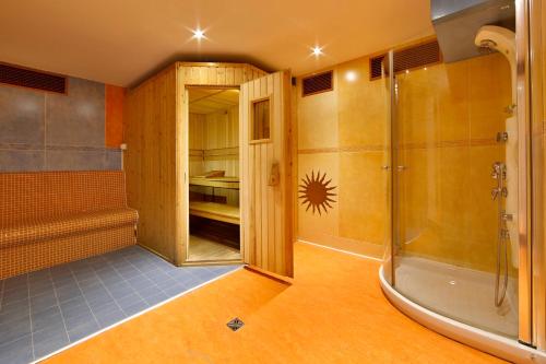 uma casa de banho com um chuveiro e uma cabina de duche ao nível do chão em U Páva em Praga