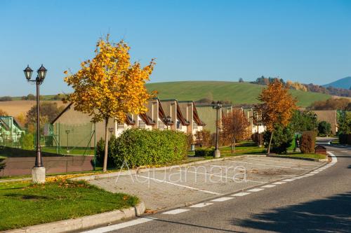a street with houses on the side of a road at Aquamara Aquapark Tatralandia in Liptovský Mikuláš