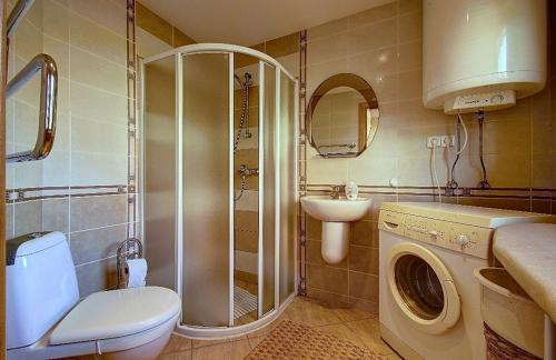 a bathroom with a shower and a toilet and a sink at Kotedzas Nidoje in Nida