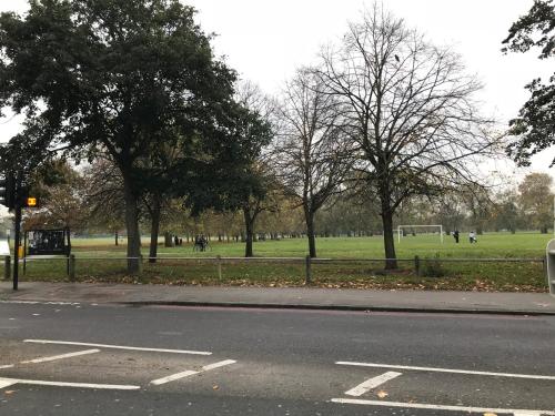 an empty street in a park with trees and a field at Wix's Lane in London