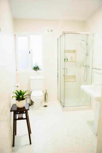 a white bathroom with a shower and a toilet at Mateo Alemán 22 in Seville