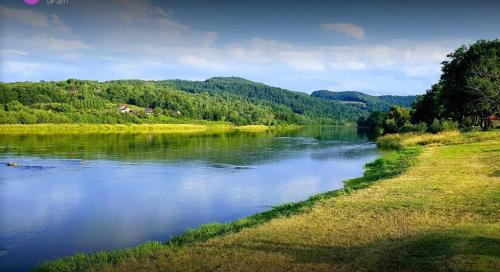 a view of a river with trees in the background at Domki Cztery Pory Roku in Czchów