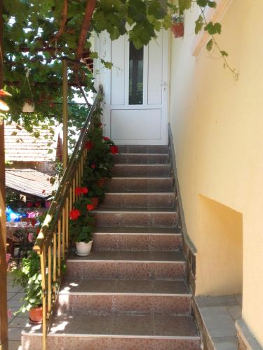 Fotografie z fotogalerie ubytování Viktoria House v destinaci Sapareva Banja