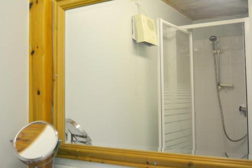 a bathroom with a shower and a mirror at Shelduck Lodge in South Cerney