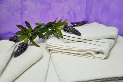 un mucchio di asciugamani con una pianta sopra di Alla Quercia a Monterotondo