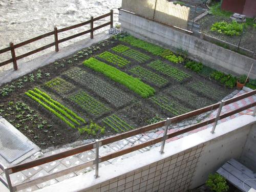 a raised garden with plants on a fence at Casa Andreola in Valfurva