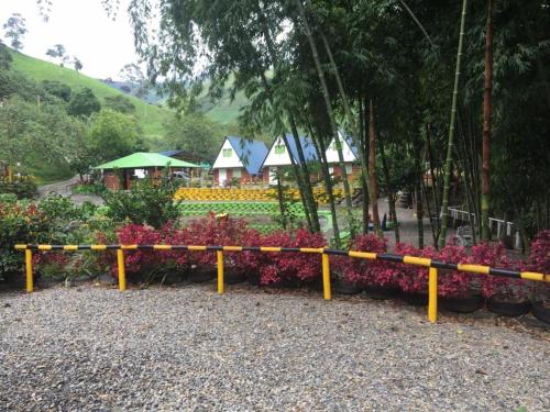 Zahrada ubytování Glamping La Cabanita Santuario