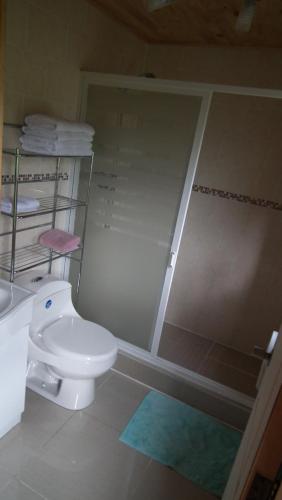 a bathroom with a toilet and a glass shower at Cabañas Sol de Aucar in Quemchi