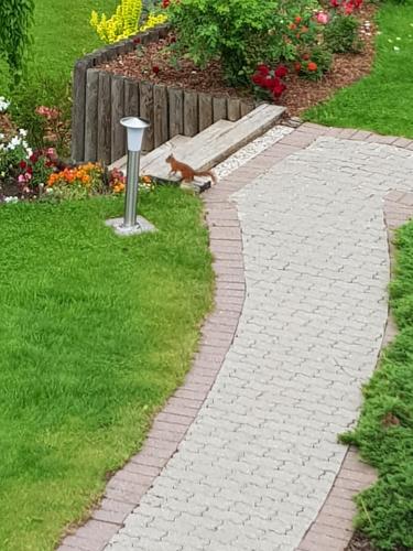 aificialificialificialificialificialificialificialificialificialificialificialificialificialificialificial at Holiday Home Ermine in Sigulda