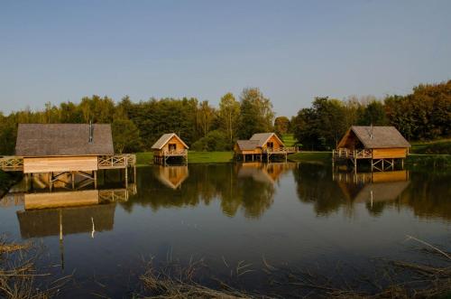 a group of cottages sitting on top of a lake at Aqualodge Hôtel Insolite in Ermeton-sur-Biert