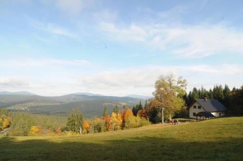 a house on a hill with a green field and trees at Chata Wostry in Bílá