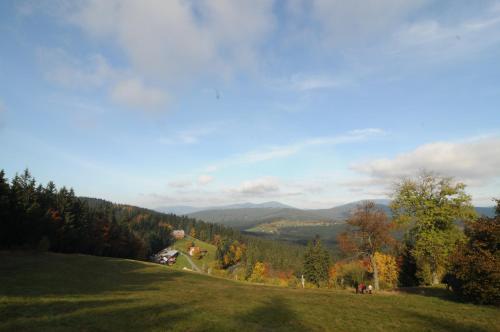 a grassy hill with trees and mountains in the background at Chata Wostry in Bílá