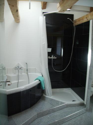 a bathroom with a shower and a tub and a sink at Mountain-Panorama in Meiringen