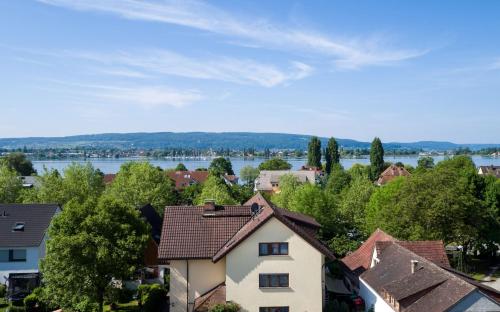 a view of a town with houses and a river at Haus Rose in Allensbach