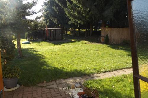 a yard with a fence and a dog sitting in the grass at Haus am Waldesrand in Tanne